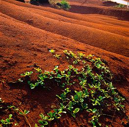《死亡细胞》公布新更新路线图 2023年将有重磅内容推出